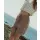 Ornella Tek Walkshorts für Frauen