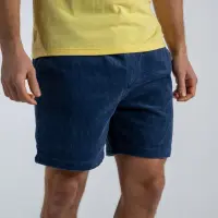 Velvet shorts