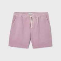 Velvet shorts